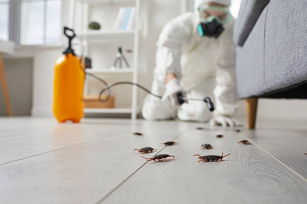 Commercial Kitchen Cockroach Control in North Fort Myers